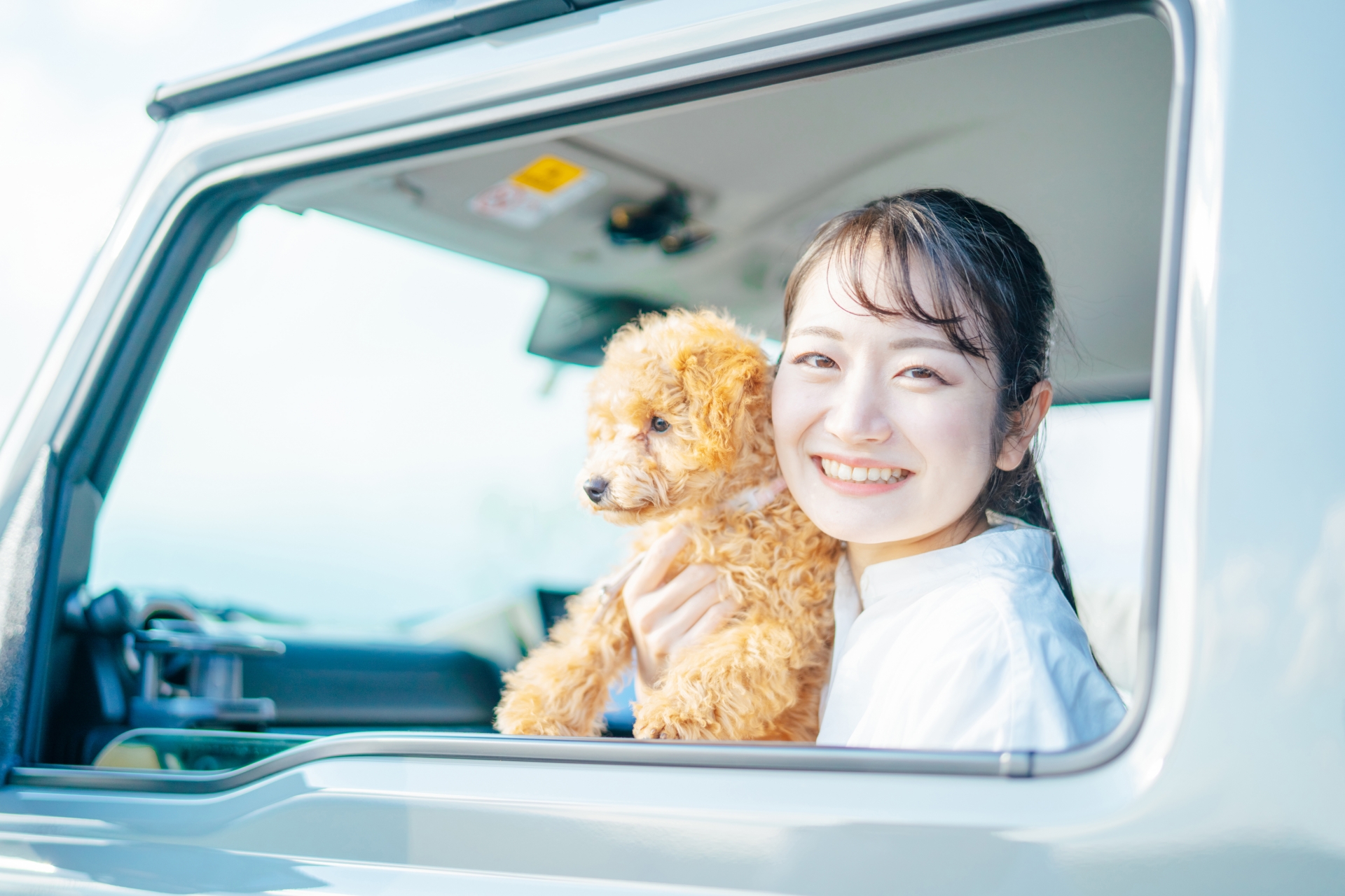 犬と女性イラスト