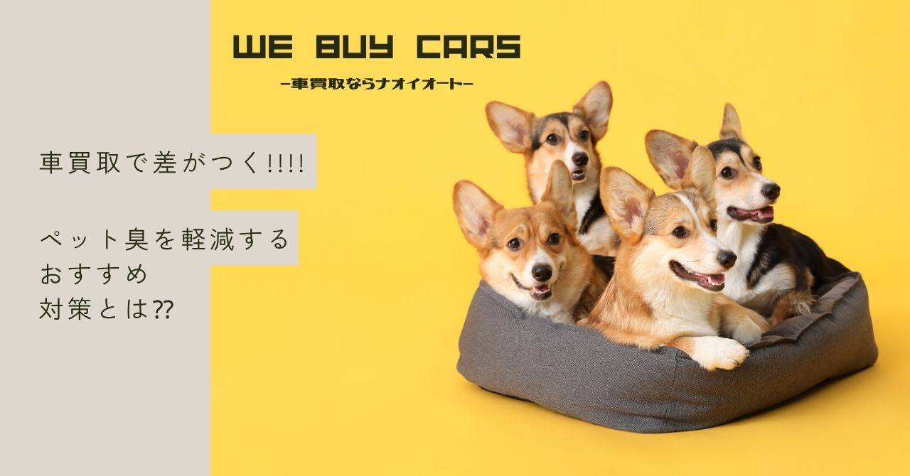 本店